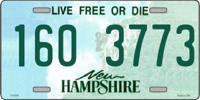 NH license plate 1603773