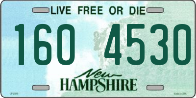 NH license plate 1604530