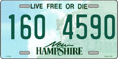 NH license plate 1604590