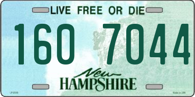 NH license plate 1607044