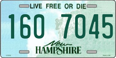 NH license plate 1607045