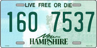 NH license plate 1607537