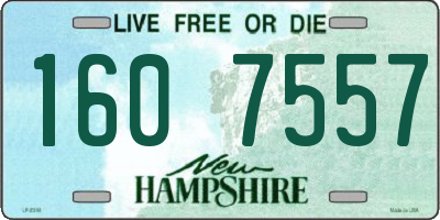 NH license plate 1607557