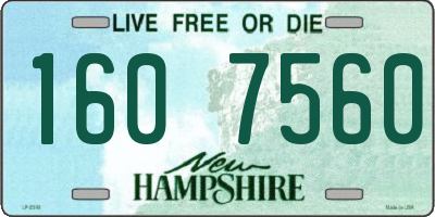 NH license plate 1607560