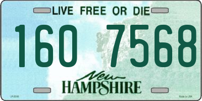 NH license plate 1607568