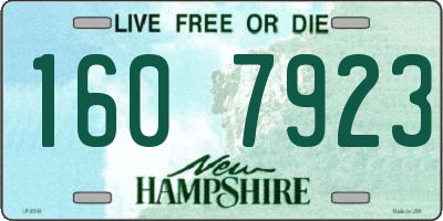 NH license plate 1607923