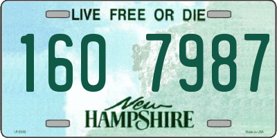 NH license plate 1607987