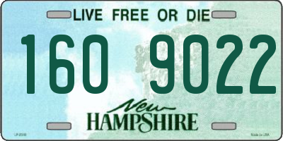 NH license plate 1609022