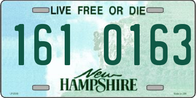 NH license plate 1610163