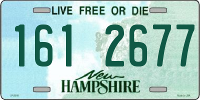 NH license plate 1612677