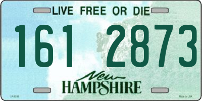 NH license plate 1612873