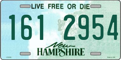 NH license plate 1612954