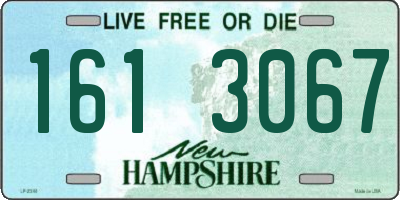 NH license plate 1613067