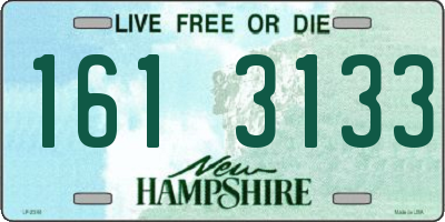 NH license plate 1613133