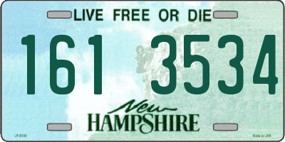 NH license plate 1613534