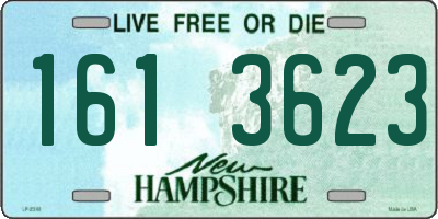 NH license plate 1613623