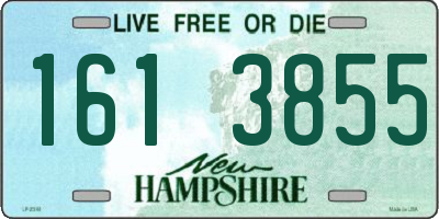 NH license plate 1613855