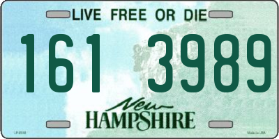 NH license plate 1613989