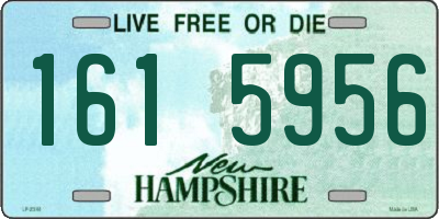 NH license plate 1615956