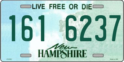 NH license plate 1616237
