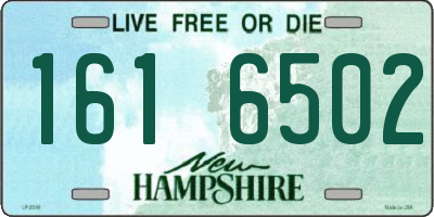 NH license plate 1616502
