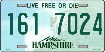 NH license plate 1617024