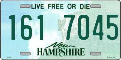 NH license plate 1617045