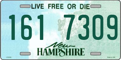 NH license plate 1617309