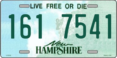 NH license plate 1617541