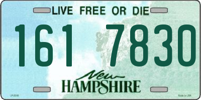 NH license plate 1617830