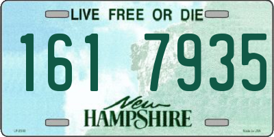 NH license plate 1617935