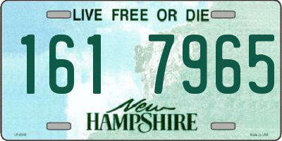 NH license plate 1617965