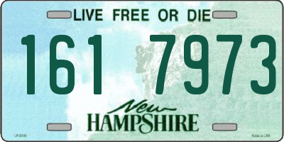 NH license plate 1617973