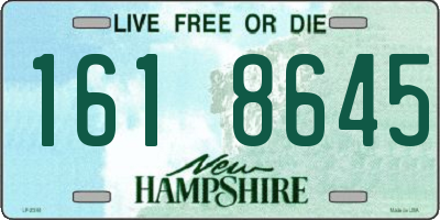 NH license plate 1618645