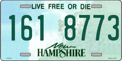 NH license plate 1618773