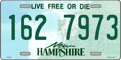 NH license plate 1627973