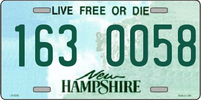 NH license plate 1630058