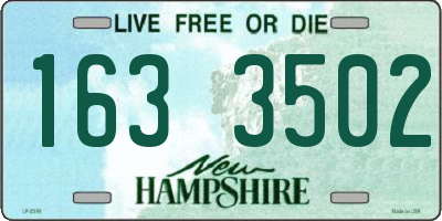 NH license plate 1633502