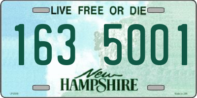NH license plate 1635001