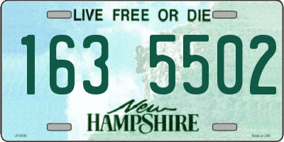 NH license plate 1635502