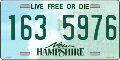 NH license plate 1635976