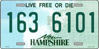 NH license plate 1636101