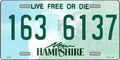 NH license plate 1636137