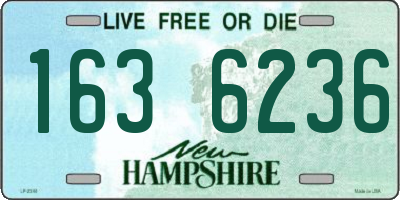 NH license plate 1636236