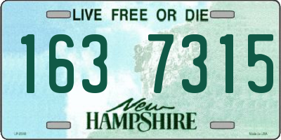 NH license plate 1637315