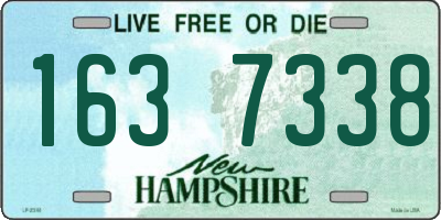 NH license plate 1637338