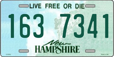 NH license plate 1637341