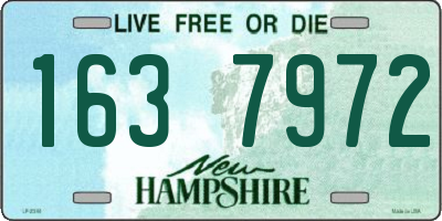 NH license plate 1637972
