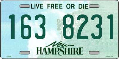 NH license plate 1638231