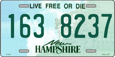 NH license plate 1638237
